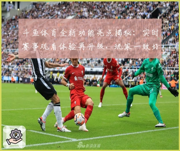 斗鱼体育全新功能亮点揭秘：实时赛事观看体验再升级，玩家一致好评