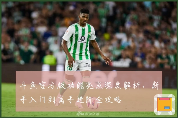 斗鱼官方版功能亮点深度解析，新手入门到高手进阶全攻略