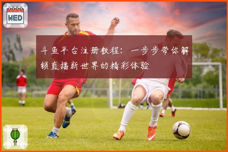 斗鱼平台注册教程：一步步带你解锁直播新世界的精彩体验