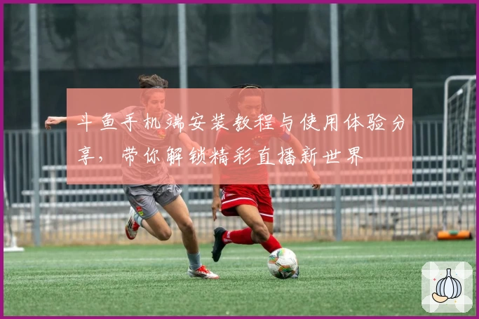 斗鱼手机端安装教程与使用体验分享，带你解锁精彩直播新世界