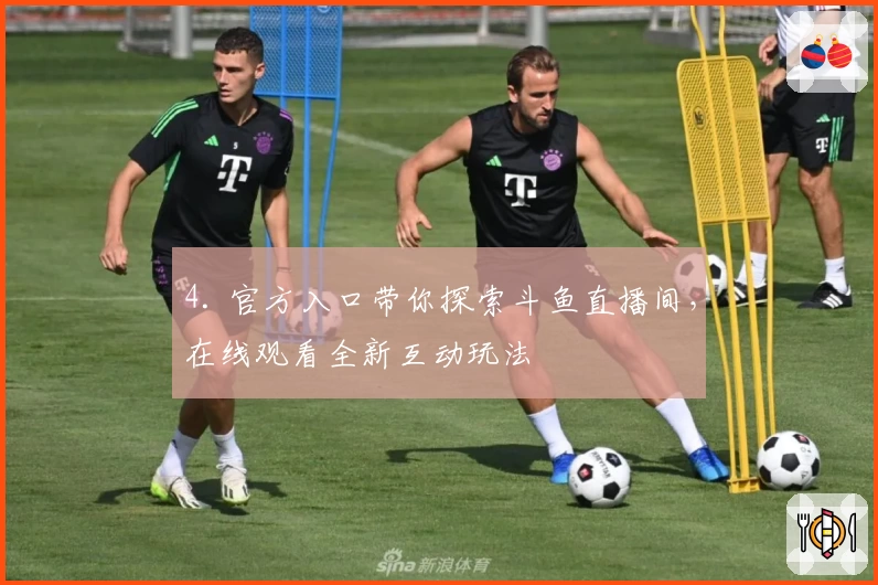 4. 官方入口带你探索斗鱼直播间，在线观看全新互动玩法