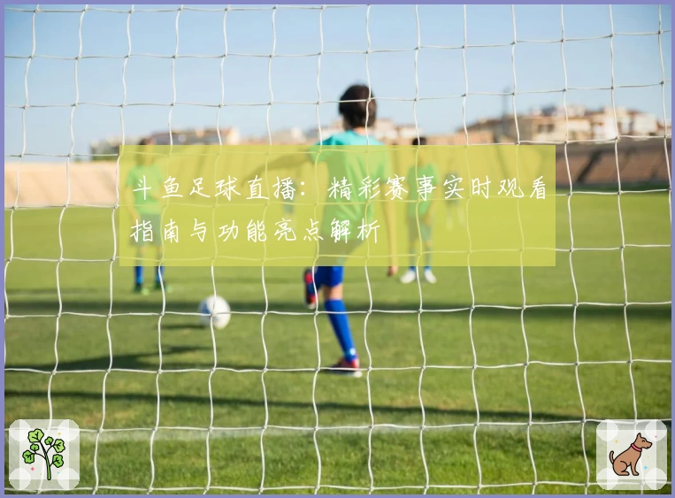 斗鱼足球直播：精彩赛事实时观看指南与功能亮点解析