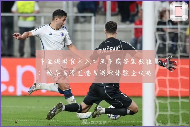 斗鱼端游官方入口及下载安装教程：畅享高清直播与游戏体验全攻略