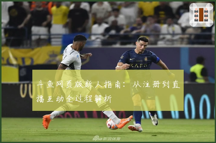 斗鱼网页版新人指南：从注册到直播互动全过程解析