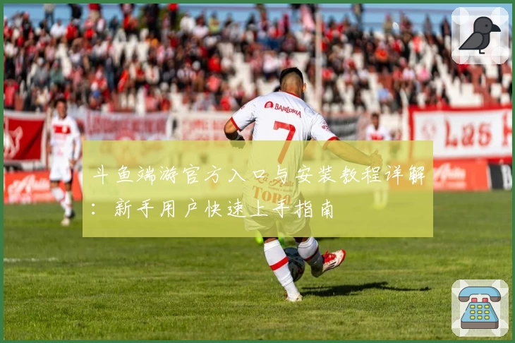 斗鱼端游官方入口与安装教程详解：新手用户快速上手指南